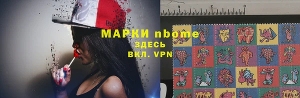 гидропоника Бородино