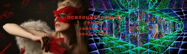 не бодяженный Богданович