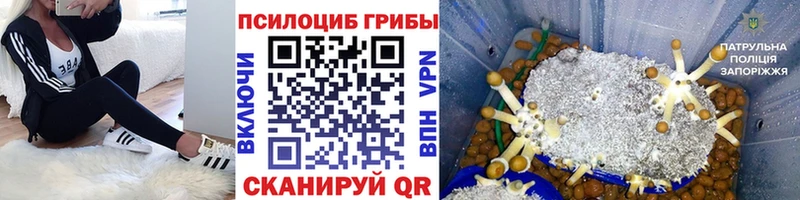 Галлюциногенные грибы ЛСД  даркнет сайт  Абакан 