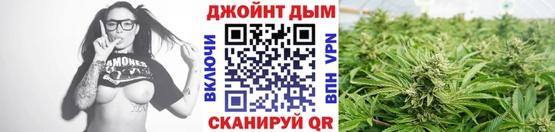 Каннабис конопля  Абакан 